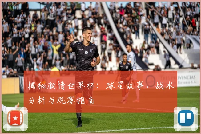 揭秘激情世界杯：球星故事、战术分析与观赛指南