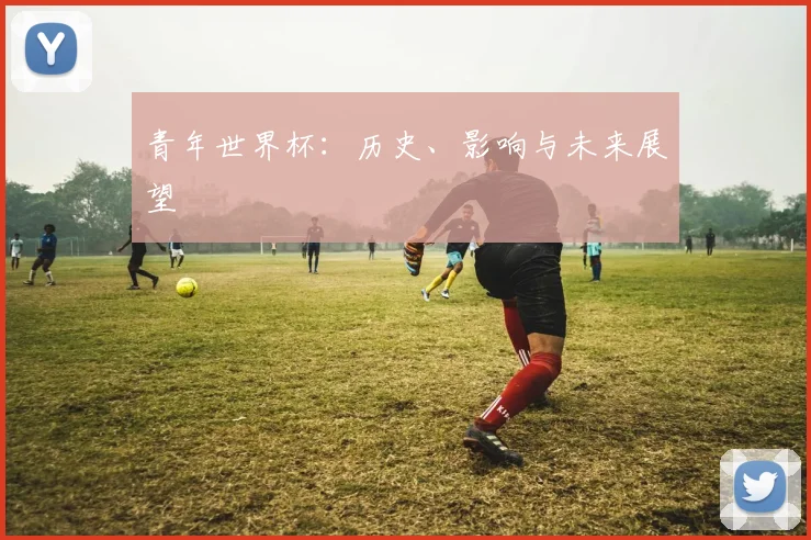 青年世界杯:历史、影响与未来展望